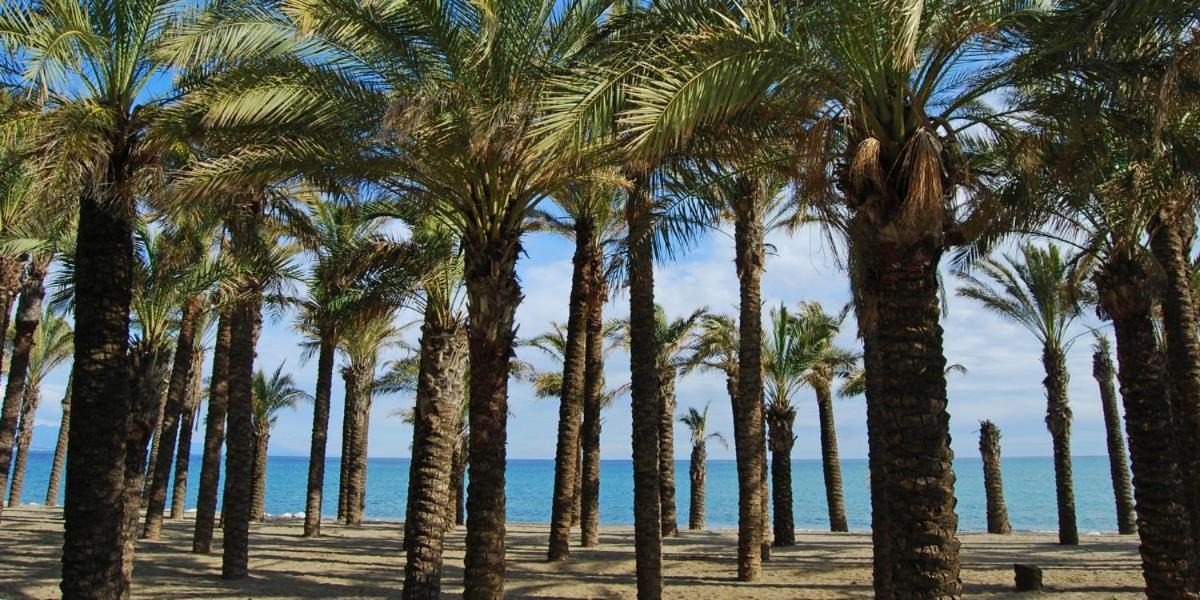 Apartamento Carole Playa Bajondillo Torremolinos Beach - Playa A 30 Segundos - Wifi - Parking - Terraza Daire Dış mekan fotoğraf